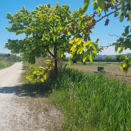 Tra Oasi Naturalistica E Mare * San Benedetto del Tronto