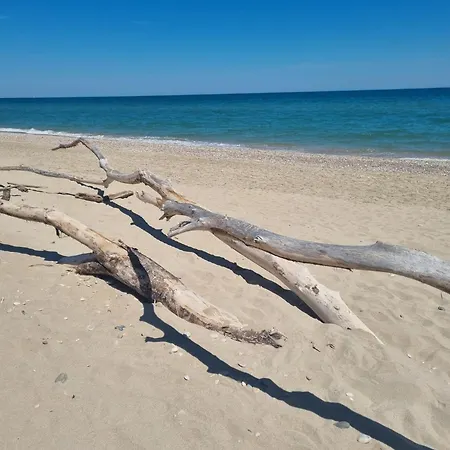 Tra Oasi Naturalistica E Mare アパート